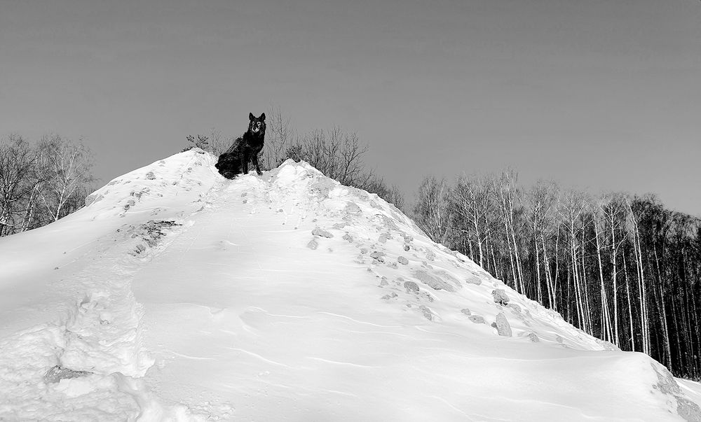 Фотография автора Надежда Лисицына