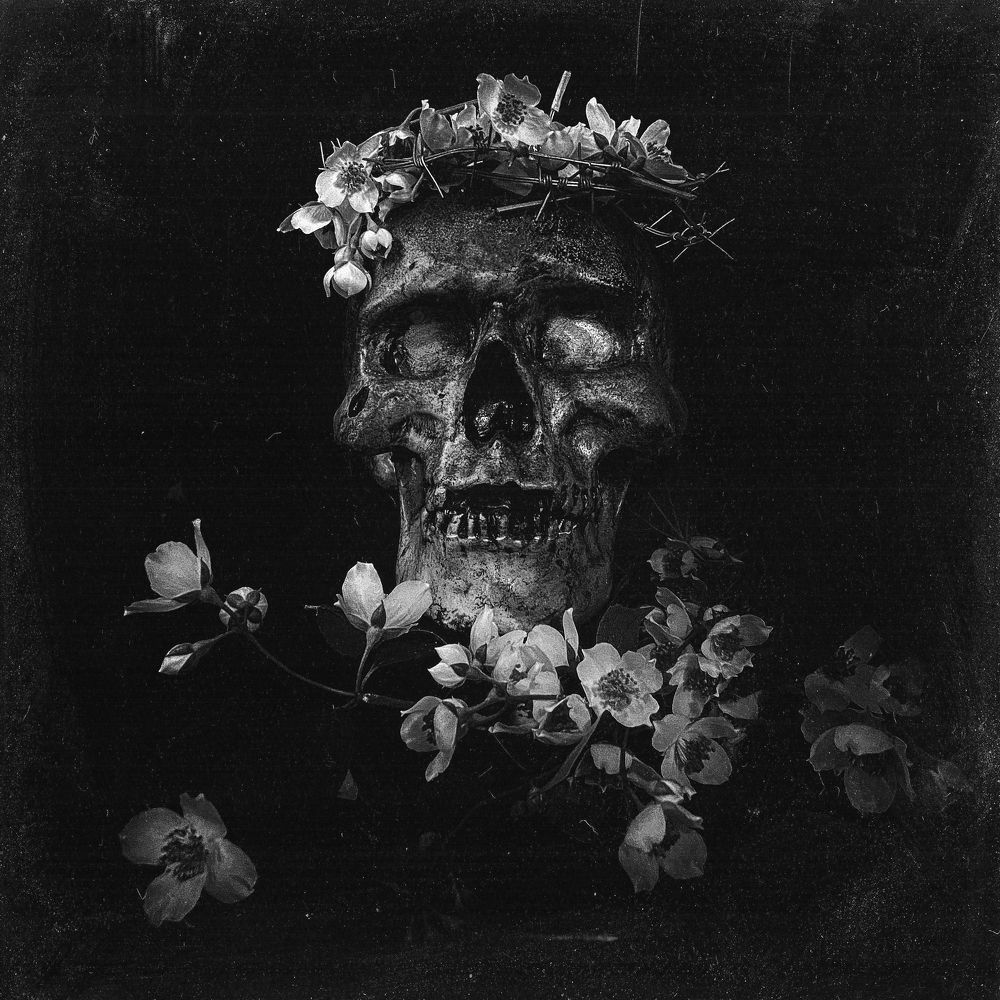 солнцестояние