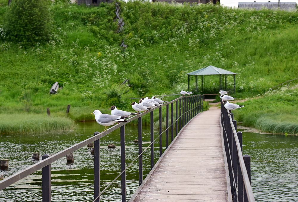 Фотография автора Оксана Льдинина