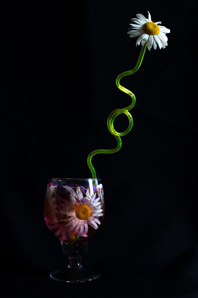 Photograph by Дарья