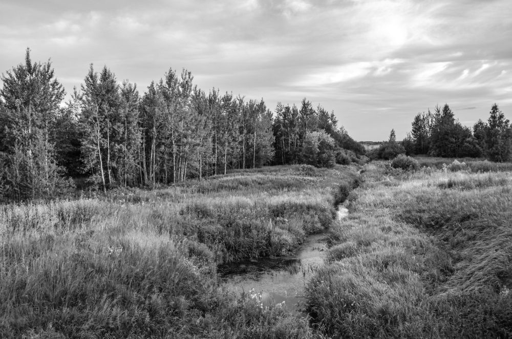 Photograph by Дарья Миронова