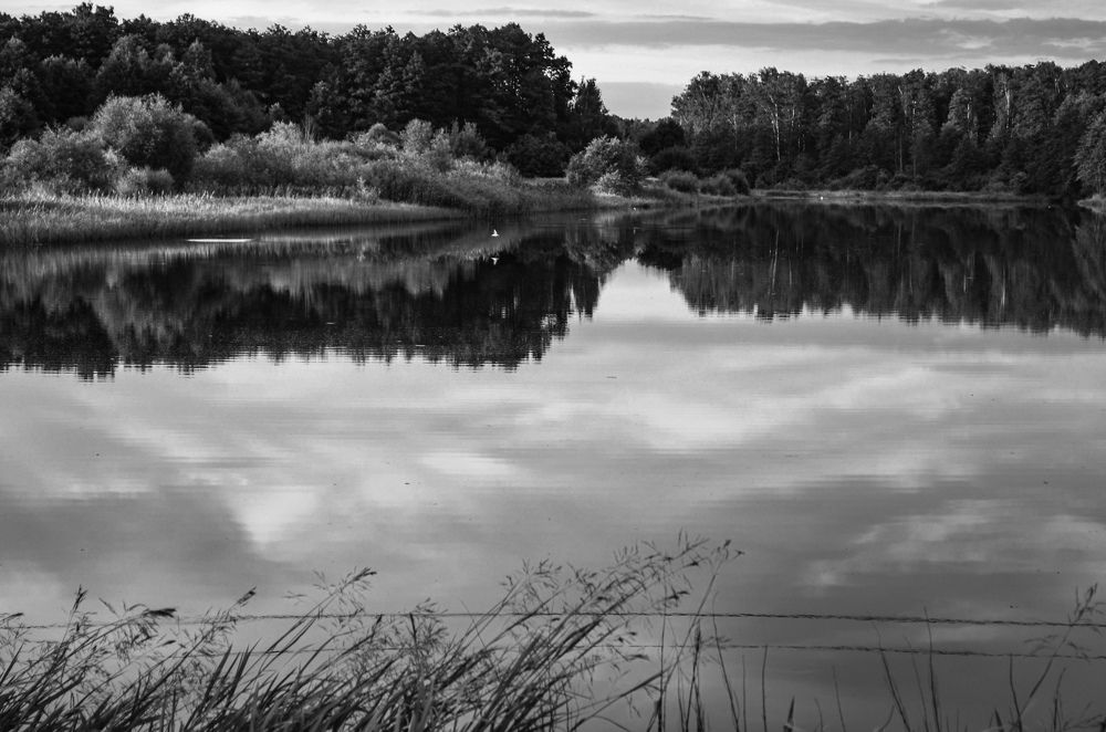 Photograph by Дарья Миронова