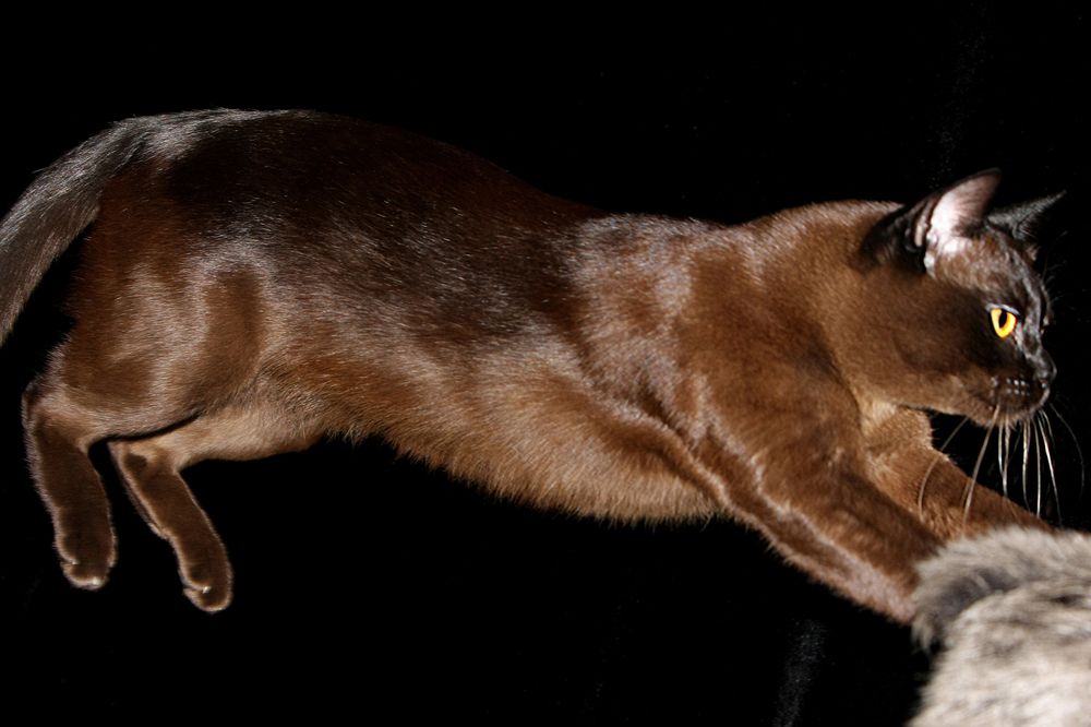 Фотография автора Надежда Лисицына