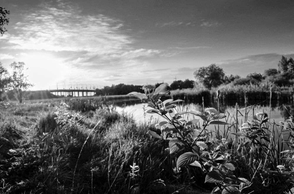 Photograph by Дарья Миронова