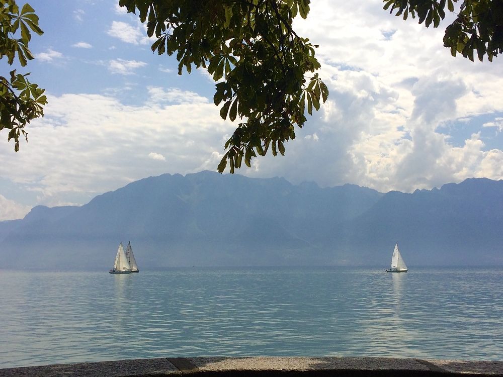 Photograph by Vasily Prokhorov