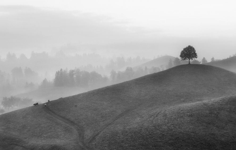 Photograph by Галина Хвостенко