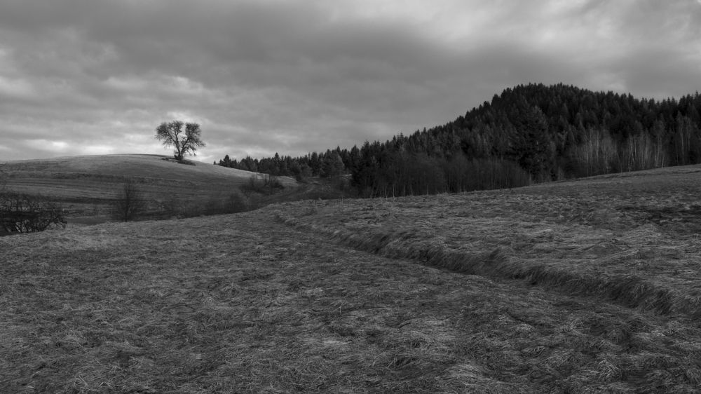 Photograph by Vladyslav Stetsenko
