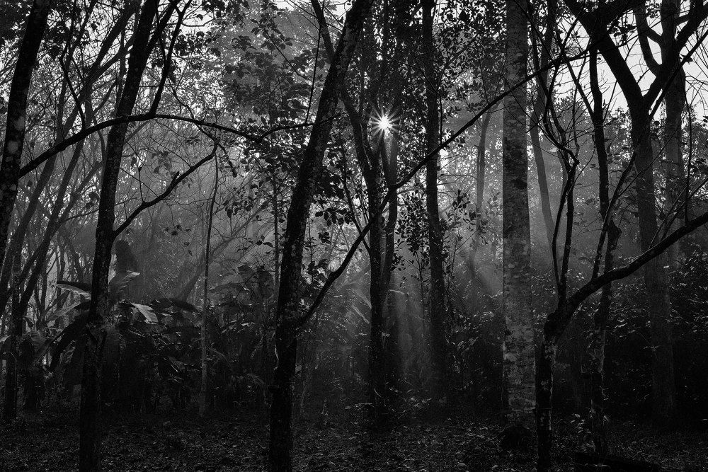 Photograph by Vijay Singh Chandel