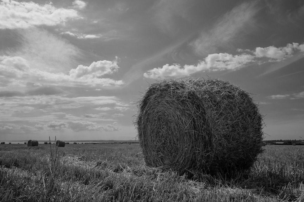 Photograph by Александр Максимов