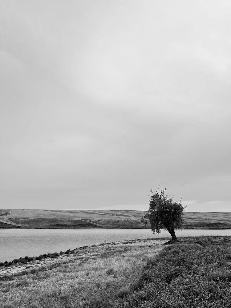 Photograph by Юлия Сушко