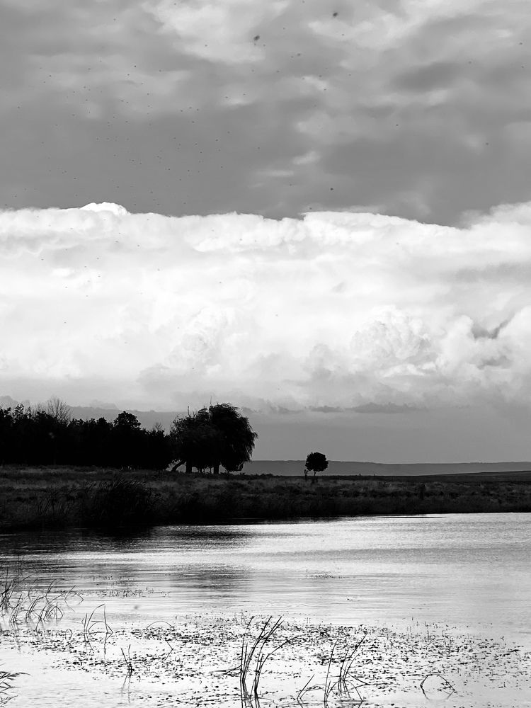 Photograph by Юлия Сушко