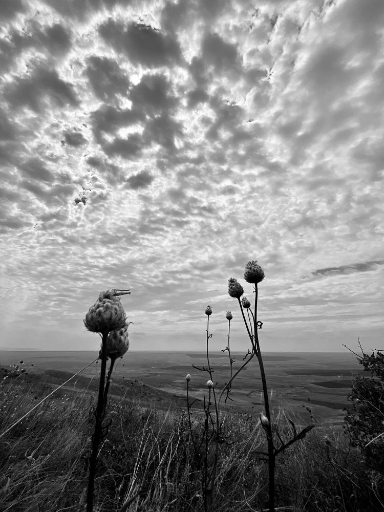 Photograph by Юлия Сушко