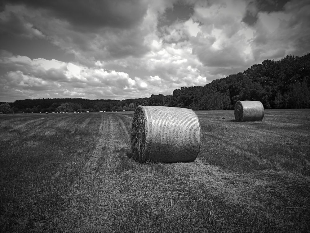 Фотография автора Сергей Камнев
