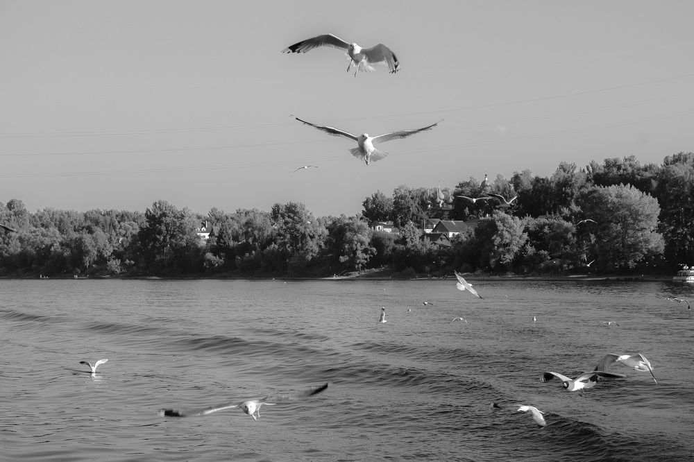 Photograph by Мария Катасонова