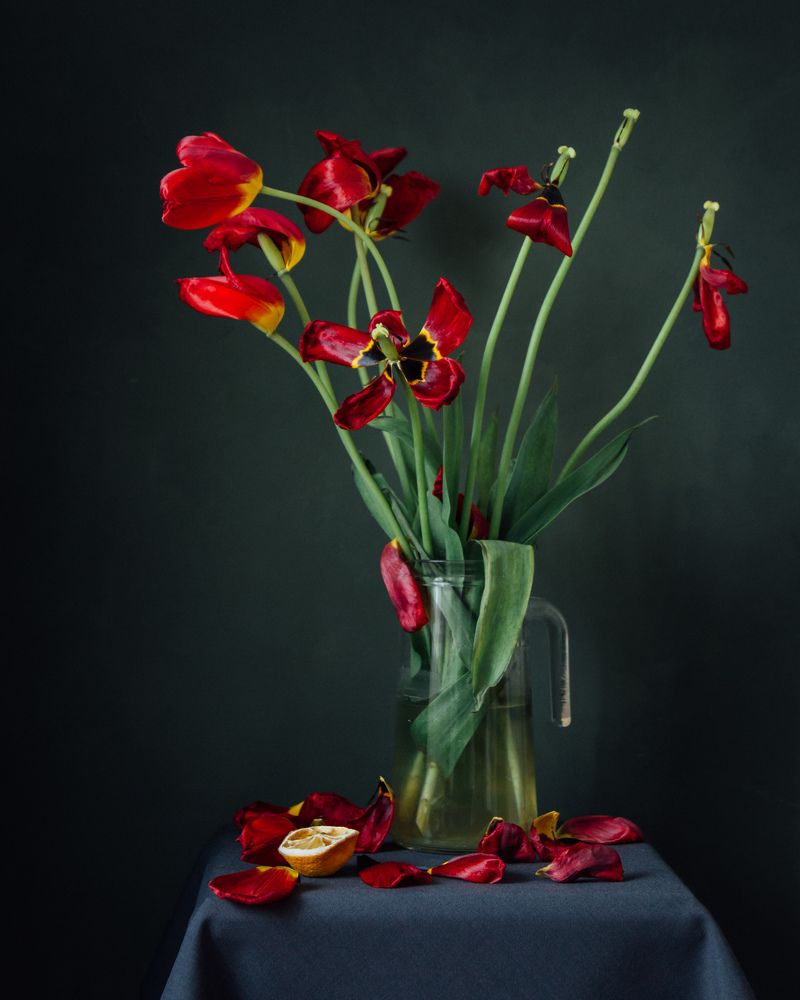 Photograph by Ранчинский Дмитрий