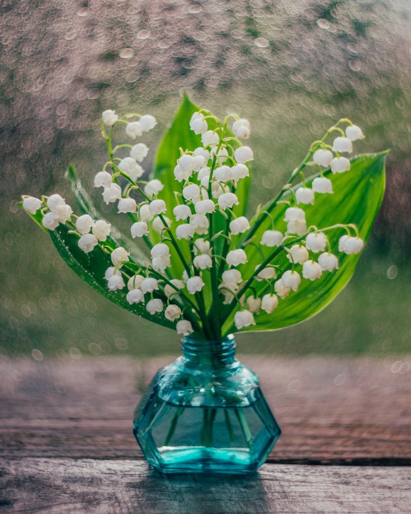 Photograph by Ранчинский Дмитрий