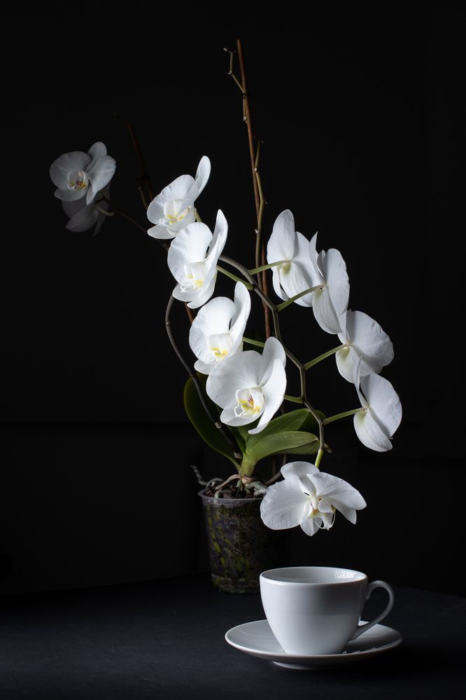 Photograph by Андрюс