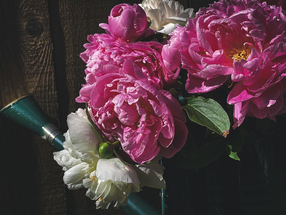 Photograph by Natalia Everatt