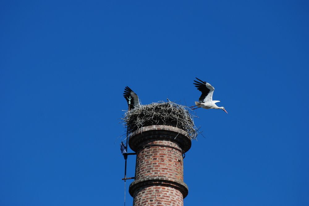 Photograph by Francisco Cabrita