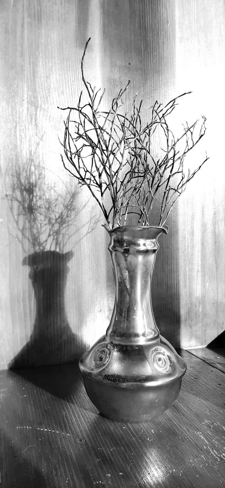 Photograph by Ольга Богорад