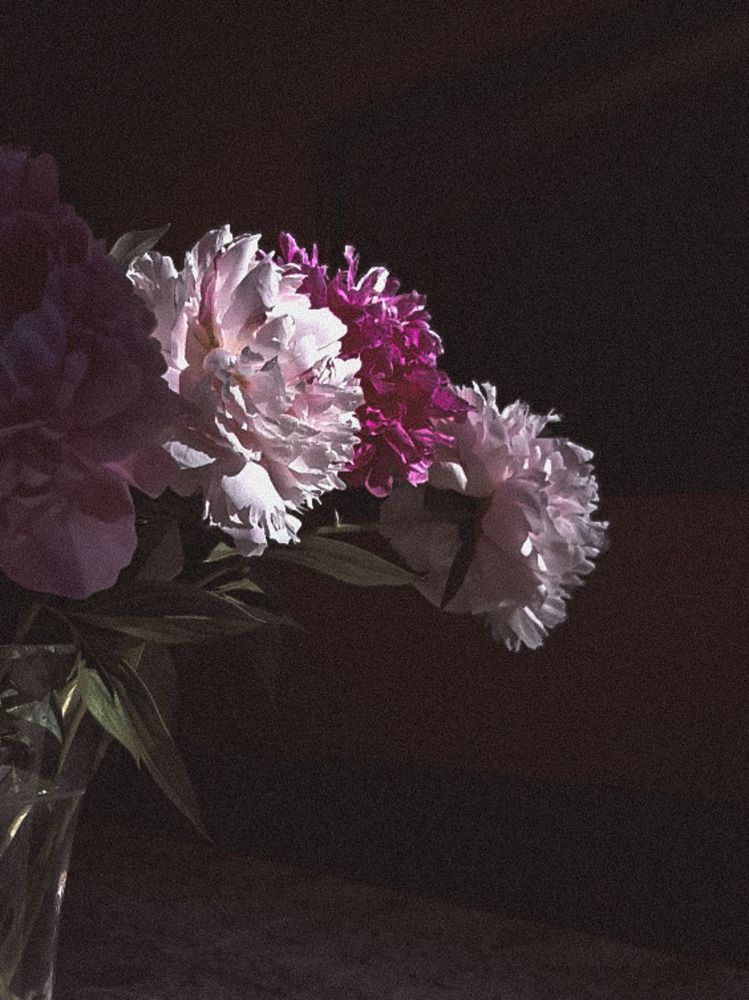 Photograph by Александра Кропивка