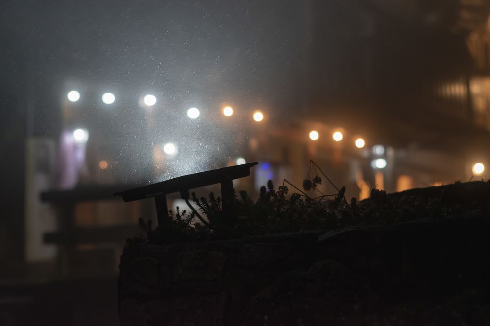 Garua en las Altas Cumbres