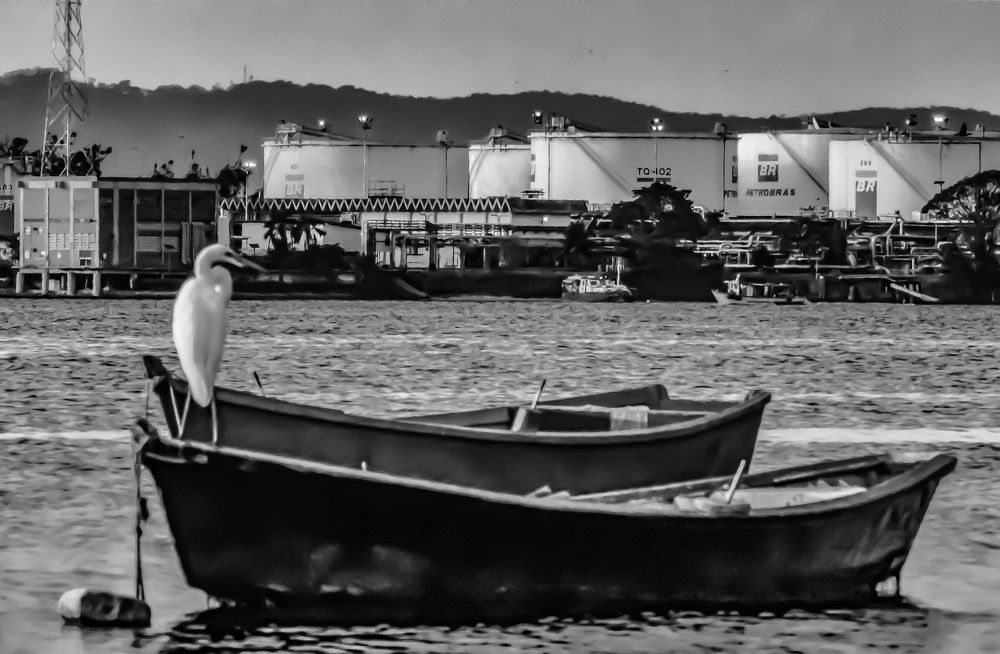 Photograph by Andre Nunes