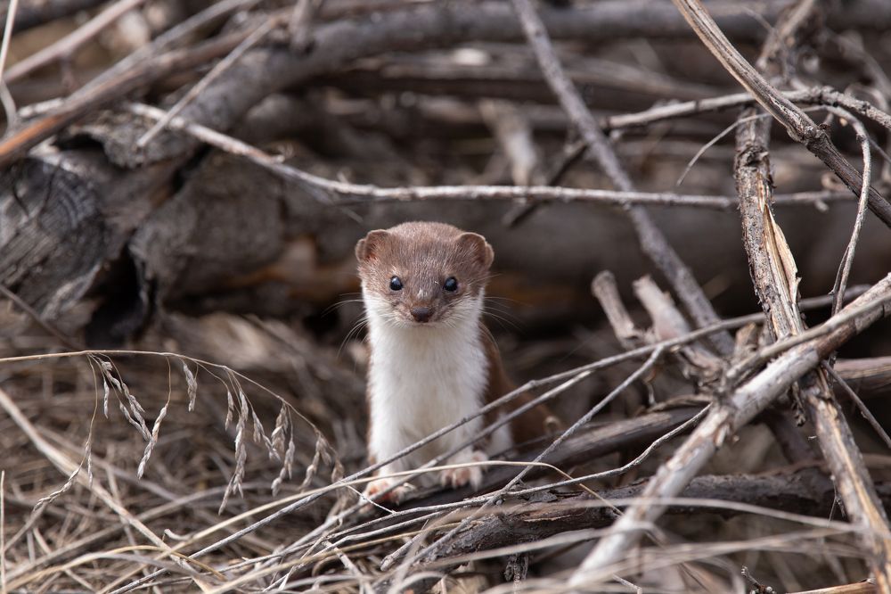 Photograph by Даря Ивушкина