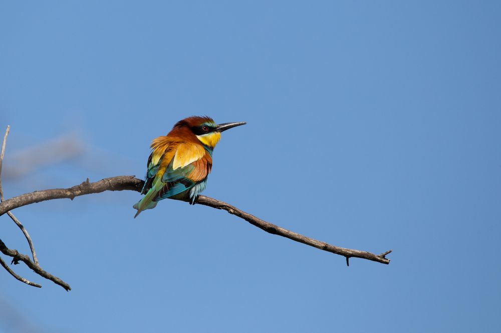 Photograph by Даря Ивушкина