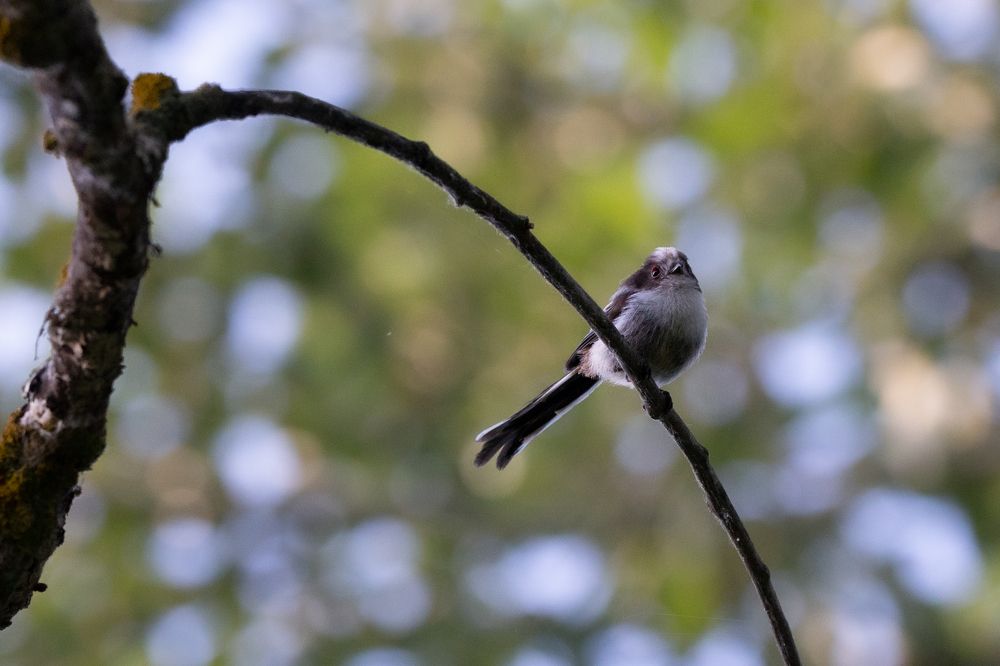 Photograph by Даря Ивушкина