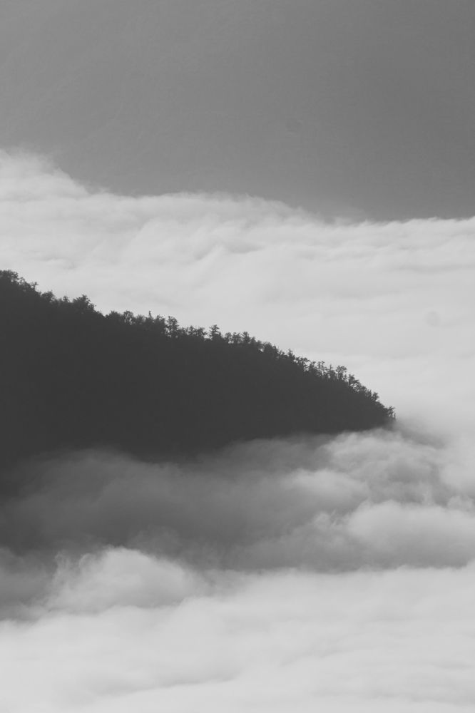 Photograph by Navid Tahmasbi