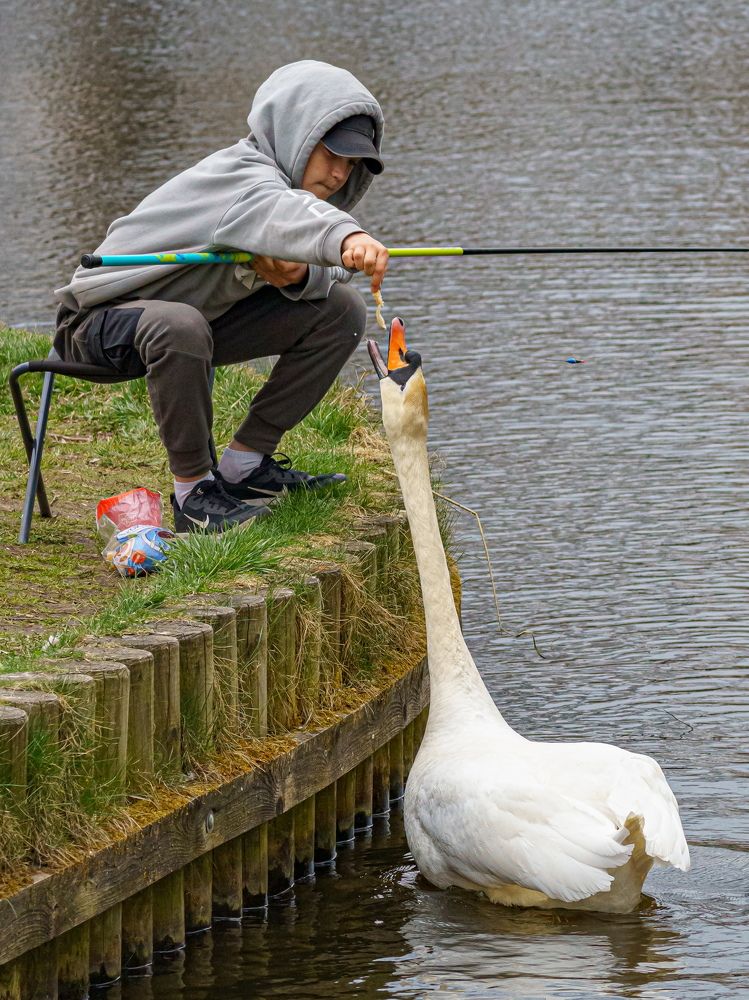 Photograph by Valdis Serzhans