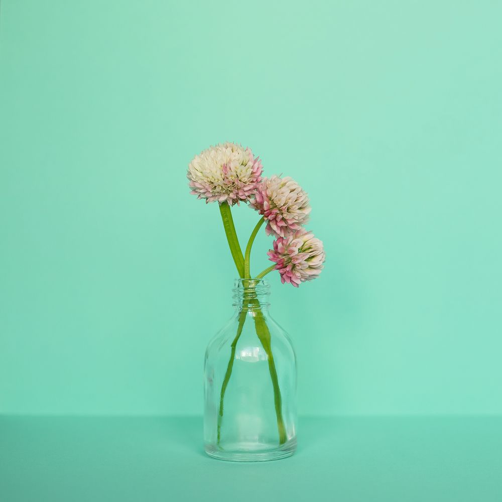 Фотография автора Елена Ельшина