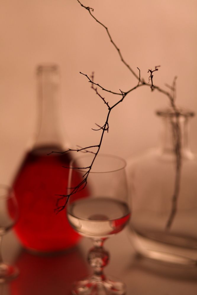 Photograph by Ali Boyko