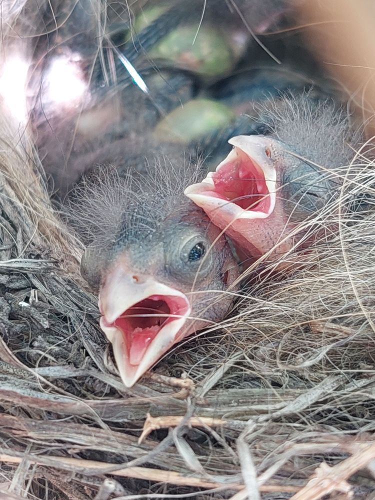 Photograph by Анна Малютина