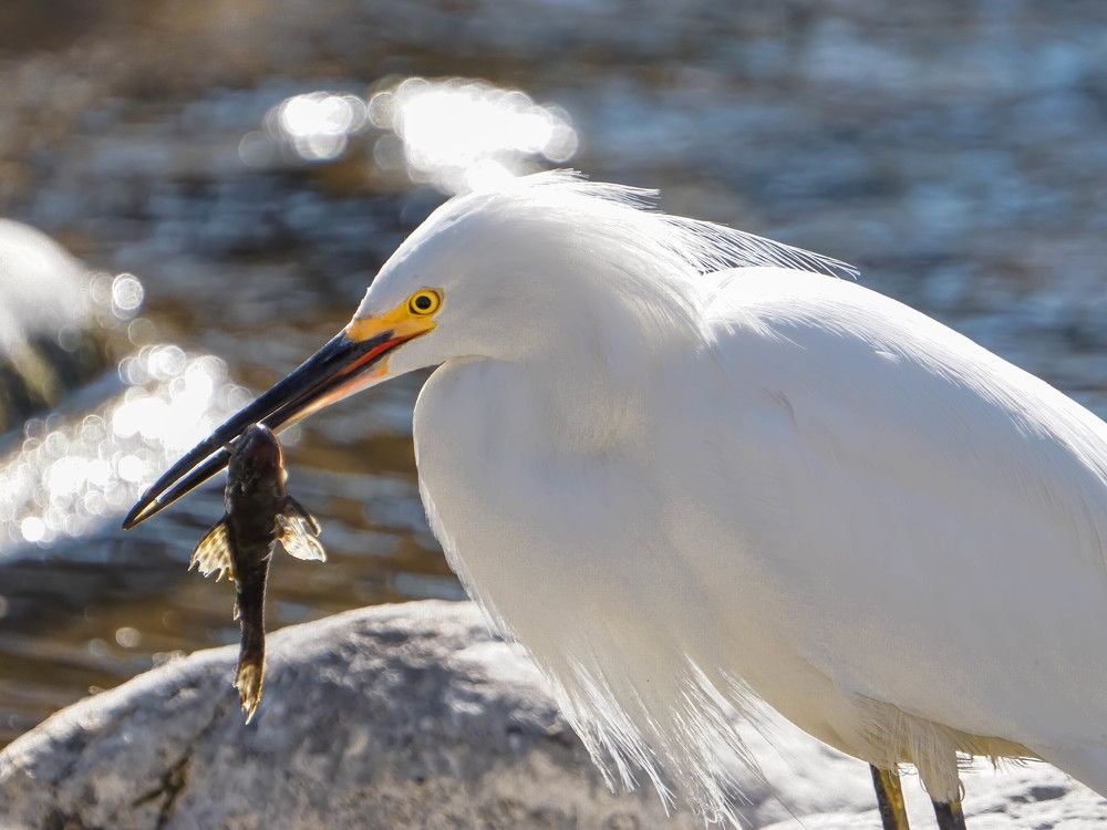 Photograph by Karina Elena Bergagna