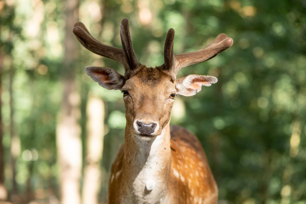 Photograph by Анна Малютина