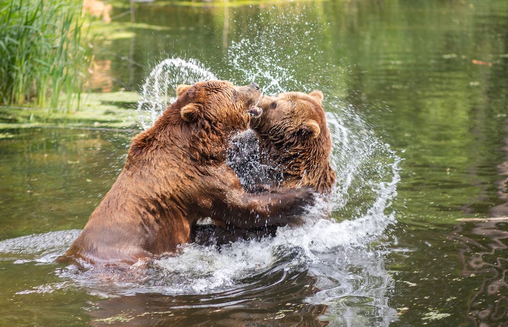 Photograph by Анна Малютина