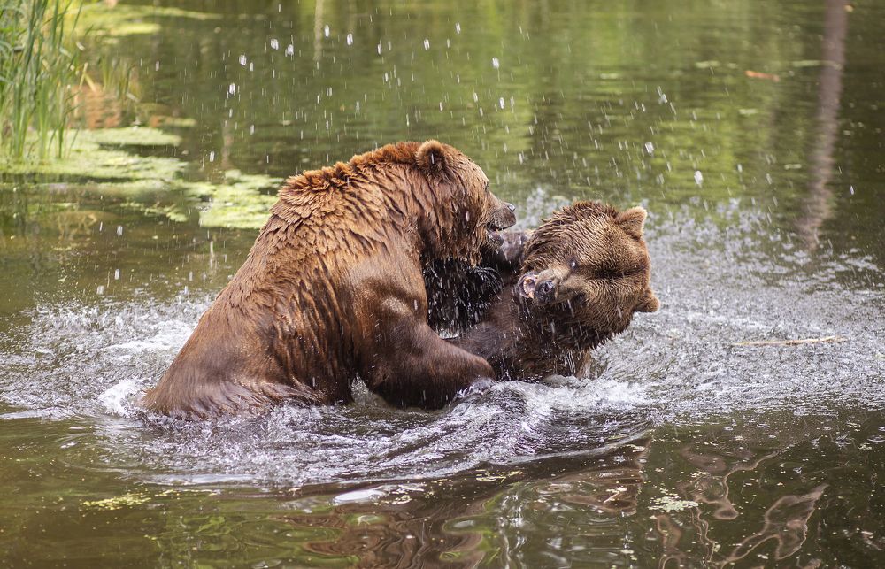 Photograph by Анна Малютина