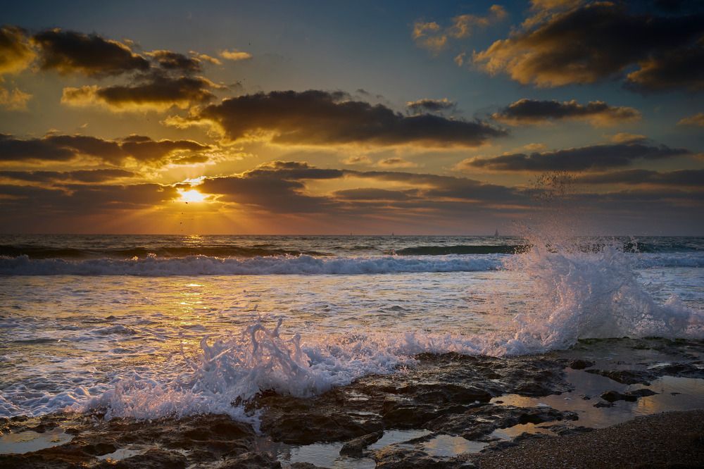 Фотография автора David Solodar