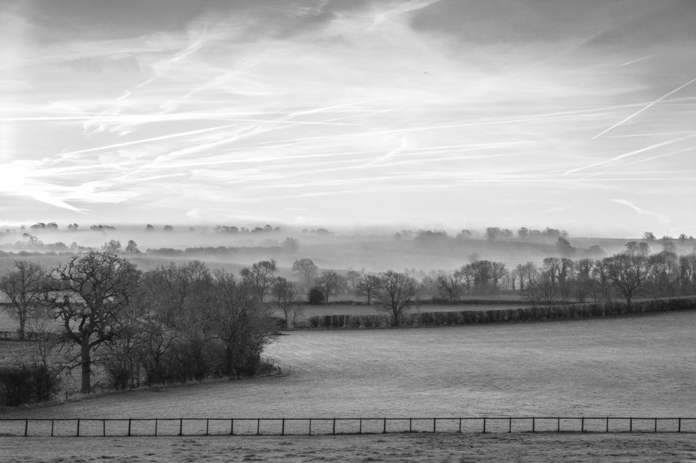 Photograph by LYUDMYLA POKRYSHEN