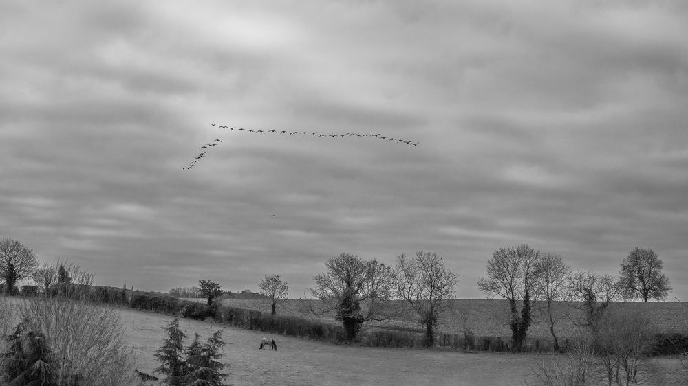 Photograph by LYUDMYLA POKRYSHEN