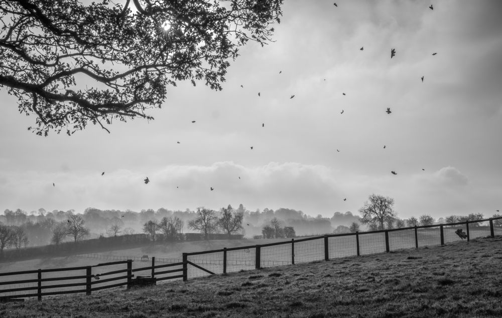 Photograph by LYUDMYLA POKRYSHEN