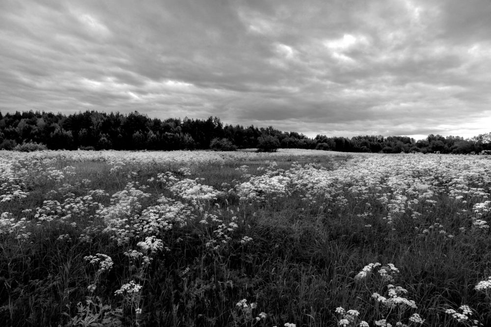 Photograph by федотов Алексей