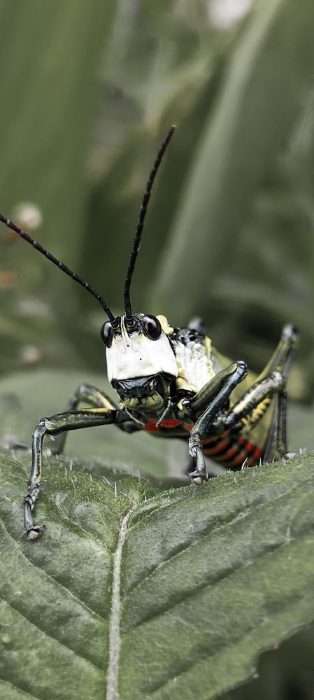 Photograph by Afsal Ansary