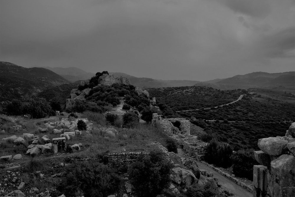 Photograph by Людмила Бутова