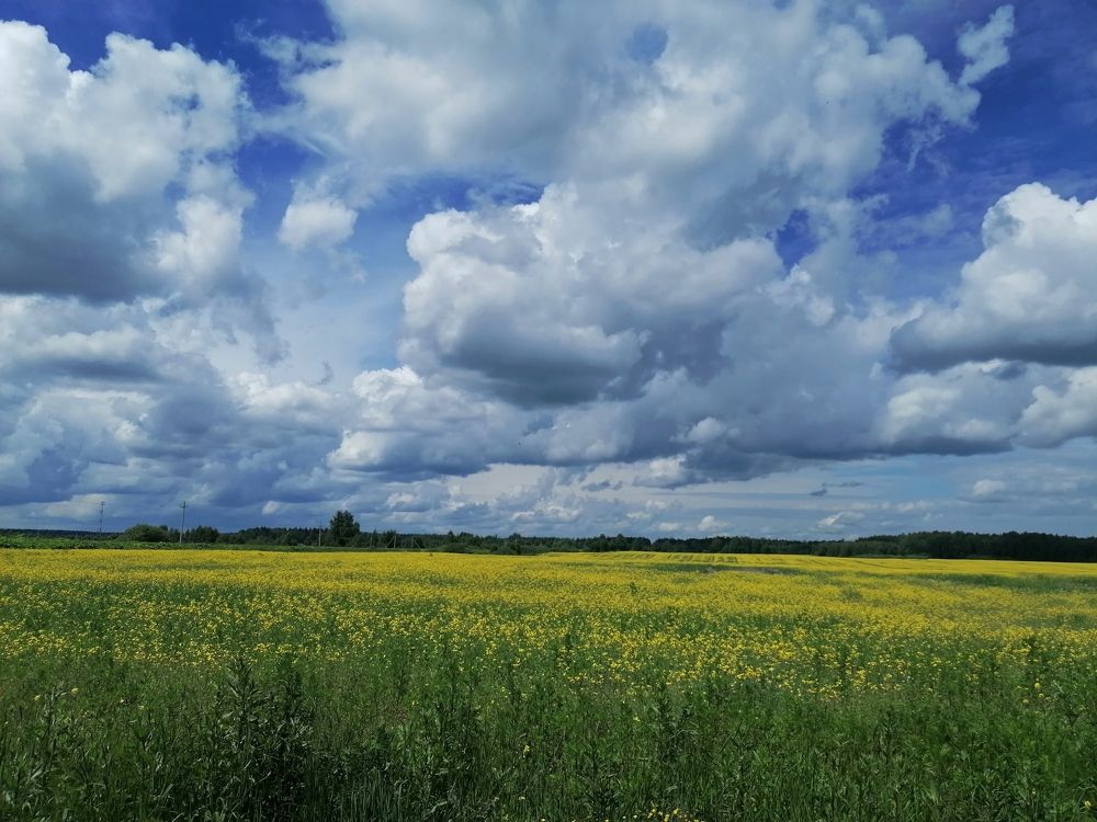 Photograph by Татьяна