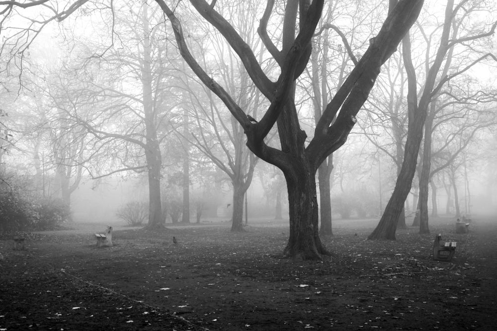 Photograph by Ирина Шпак