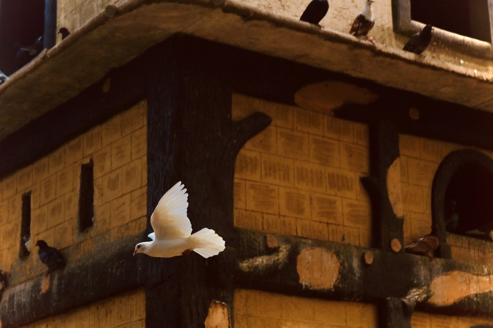 Photograph by Deasy Junita Dhani Hidayana