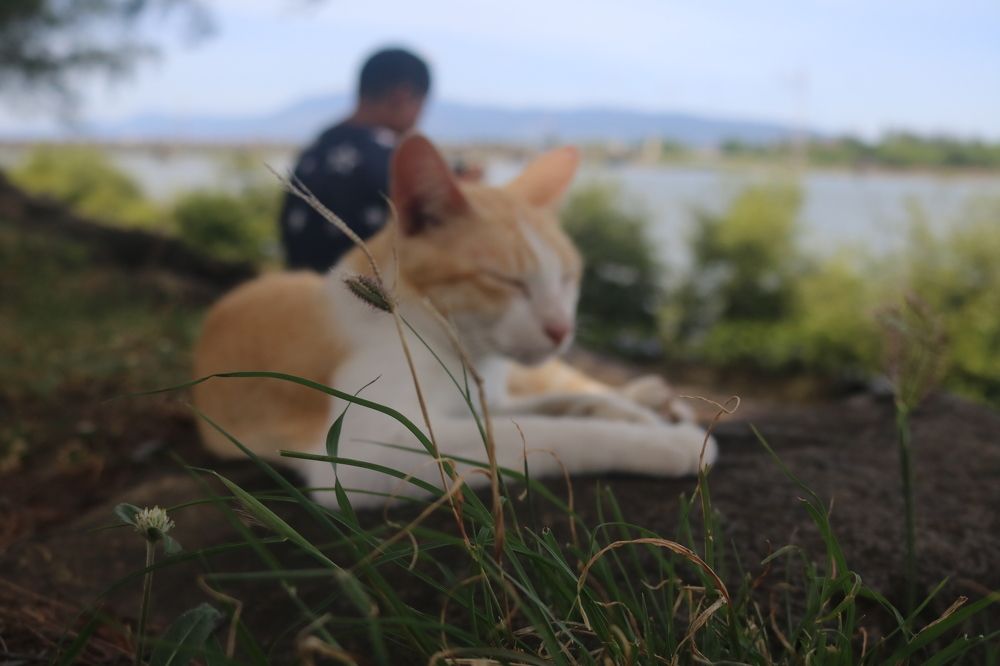 Photograph by Deasy Junita Dhani Hidayana